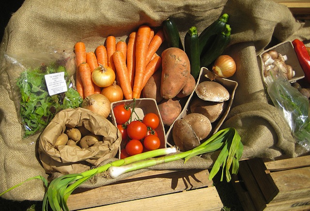 The Health Benefits of Eating Turnips During the Winter Season