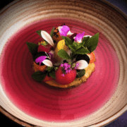Vegetarian Restaurants
